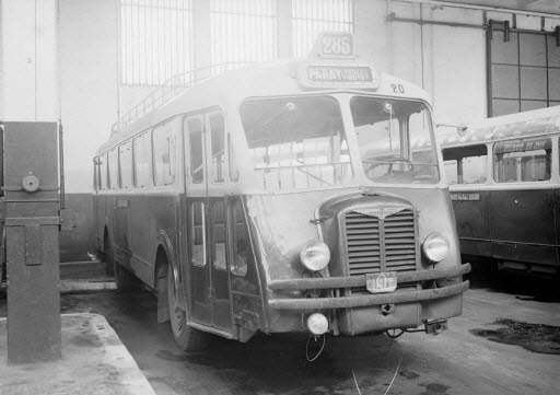 Autobus